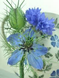 Pin On 31113 Inspiration