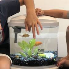 We did not find results for: Aquarium Suppliers Near Me Off 54