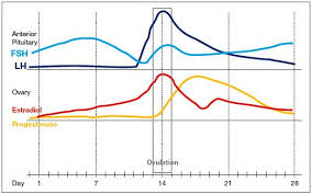 Changes In The Diameter And Valve Closure Time Of Leg Veins