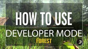 How do you enable cheats? The Forest How To Use Developer Mode Youtube