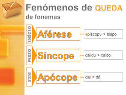 Canes (latim) > cães (português). Historia Da Lingua Portuguesa Ppt Carregar
