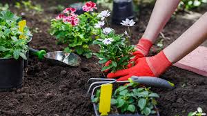 Whatever type of flowers you choose, be sure to follow the guidelines on the packets! When To Plant Flowers A Guide For All Seasons