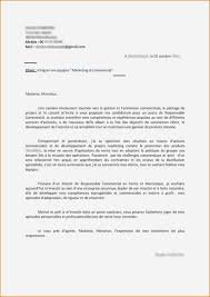 Rédiger une lettre de motivation pour de l'alternance/apprentissage est un exercice qui doit répondre à certains standards. Lettre De Motivation Intersport A Decouvrir