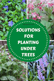 Pin On Garden Blogs