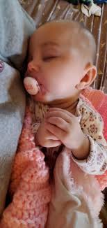 New Zealand babies jumping out of nest box