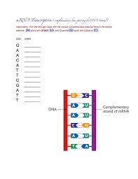 In nature complementarity is the base principle of dna replication and transcription as it is a property shared between two dna or rna sequences. 4 Gb1 Learnres Web Ch12