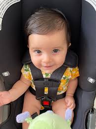 Kathleen Adamo Obituary (2020)