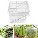 Amazon.com: Watermelon Growing Mold - Transparent Watermelon ...