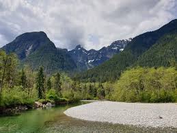 Does anyone burn silver maple? Awesome Campground Review Of Golden Ears Provincial Park Maple Ridge British Columbia Tripadvisor