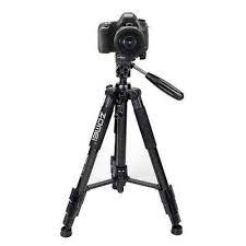Ktaxon Professional Fluid Head Tripod Lighting Stand Ktaxon Camera Tripod Tripod Lighting Dslr