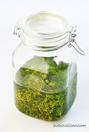 Lavate e asciugate le foglie ed i semi di finocchietto, quindi mettete tutto in un vaso di vetro con l'alcol e lasciate macerare per 14 giorni. Come Fare Il Liquore Al Finocchietto Selvatico Ricetta Per Il Digestivo Cucicucicoo