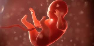 Download sap perawatan tali pusat. Bayi Terbelit Tali Pusat Adakah Si Ibu Perlu Risau Tentangnya