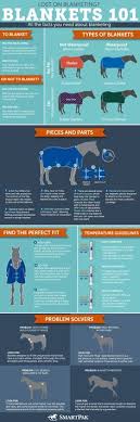 91 Best Horse Blanket Images Horses Horse Tack Horse Care