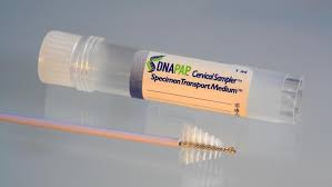 12 in the 1995 birth cohort (associated with 90% uptake of vaccine at age 13) a virtual eradication of infection related to hpv types 16 and 18 and a statistically significant reduction in cross protective types was observed. Gebarmutterhalskrebs Falsche Studie Zur Hpv Impfung In Japan Archiv