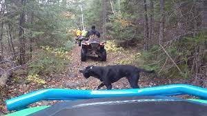 Hi/low, realfeel®, precip, radar, & everything you need to be ready for the day, commute, and weekend! Washed Out Road Hovland Mn Wildcat Trail Youtube