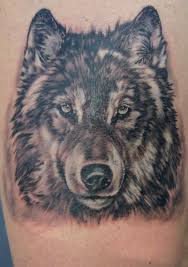 Wolf Tattoo By Twyliteskyz On Deviantart Animal Tattoos Wolf Tattoos Wolf Face
