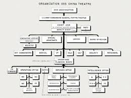 64 High Quality Political Organization Chart