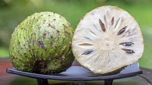 Check spelling or type a new query. Soursop Does It Help Fight Cancer
