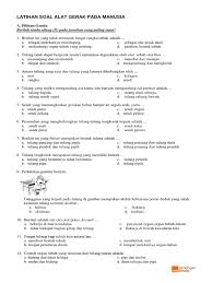 Selain melindungi otak, tengkorak juga memberi jarak yang cukup antara kedua mata untuk pandangan stereoskopis, dan menetapkan posisi telinga sehingga otak dapat. Latihan Soal Sistem Gerak Kelas 8