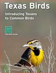 Birds Of East Texas Book Texas Birds Introducing Texans To Common Birds Pdf With Images Birds Common Birds Texas Parks