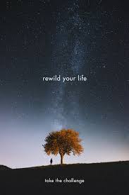 Education Is Not Preparation For Life Education Is Life Itself Meaning In Urdu Unplug Go Outside Rewild Your Life Take The Challenge Natural Life Quotes Life Go Outside