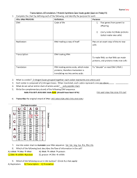 name key transcription translation protein synthesis