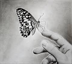 Butterfly On Hand Drawing Butterfly Drawing Butterfly Sketch Owls Drawing
