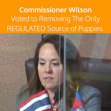Little dog rescue's adoption process. Orange County Commissioner Wilson Voted To Remove The Only Regulated Source Of Puppies With Consumer Protection Laws Pro News Report