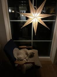 We love him and his brother so much!