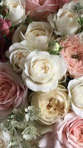 Maybe you would like to learn more about one of these? Wholesale Flowers Wholesale Flowers Wholesale Fresh Flowers Wedding Flowers