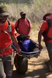 Check spelling or type a new query. Rottweiler Rescued After Injuring Paw On Hike In California Forest People Com