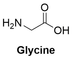 Image result for Glycine