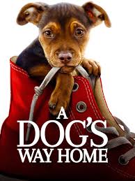 Maybe you would like to learn more about one of these? Watch A Dog S Way Home Prime Video