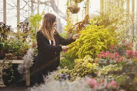 This Nursery Is Bringing A Plant Flower Pop Up With Wholesale Prices To Calgary Curiocity Group Inc
