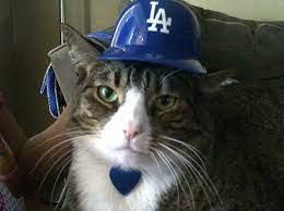 Dodgers Bobo Says Go Dodgers Via Dodgerchik31 Dodgers Go Dodgers Dodgers Girl
