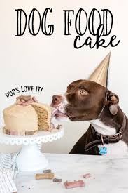 The cake mix can be adapted for baking in the conventional oven or the dogs have different tastes and tolerances than humans. Dog Eating A Dog Birthday Cake Wearing A Party Hat Dog Birthday Dog Birthday Cake Dog Birthday Cake Recipe