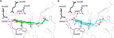 Image result for Trichilia prieuriana