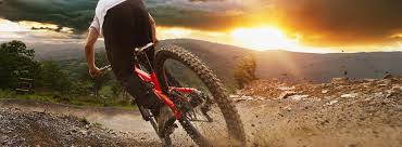 Elektrorader Von Fahrrad Wappler Fahrrad Wappler