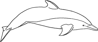 Here are six species of dolphins commonly thought of as whales, collectively known as blackfish: Printable Dolphin Coloring Pages Bestappsforkids Com