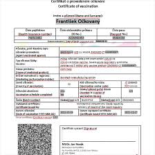 Ale respektuji kazdeho volbu, nikdy jsem nikoho nenutil a odmitace povinnych ockovani nikam nebonzoval. V Certifikatu Bude Typ Vakciny I Sarze Dostanete Ho Az Po Vsech Davkach Idnes Cz