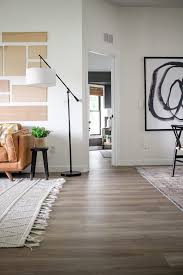 Maybe you would like to learn more about one of these? Why We Went With Stainmaster Petprotect Luxury Vinyl Q A Within The Grove