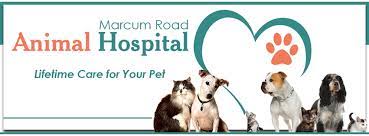 We're proud to carry on dr. Marcum Road Animal Hospital Lakeland Fl Home Facebook