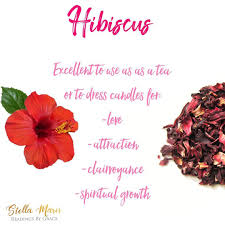 Stella Maris Readings On Instagram Dried Hibiscus Is A Wonderful Sweet Flower With Amazing Spiritual Properties Herbal Magic Magical Herbs Witch Herbs