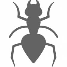 Exterminator 2 Nice Guys Termite Pest Control Chesterfield Imperial St Charles St Louis Mo Getting rid of ants with professional ant exterminators. 2 nice guys termite pest control