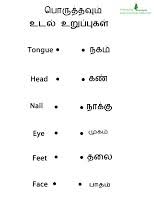 Body part names, leg parts, head parts, face parts names, arm body parts, parts of full hand. English Tamil Word Match Tamil Puthakam