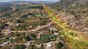 Image result for Blotiella trichosora