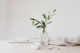 Olive Leaf Extract Ole Is A Lesser Known Byproduct Of Olive Plants But It Contains More Antioxidants And Health Boosting Olive Leaf Olive Plant Leaf Extract