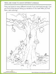 Pin By Lauren Fields On Trees Who Lives In Trees Toddler Animal Life Cycles Tree Study Animal House