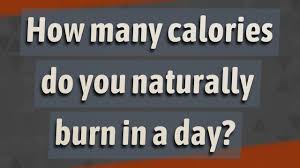 Check spelling or type a new query. How Many Calories Do You Naturally Burn In A Day Youtube