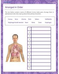 This free abc order picture sort packet gives you three different picture sorts, which make great literacy centers or quick assessments of in this product you will receive one free printable earth day abc order worksheet. Arranged In Order Free Printable Science Worksheet For Grade 2 2nd Grade Worksheets Fun Anatomy Human Anatomy
